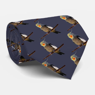 Cockatiel , Nymphicus hcus Tie