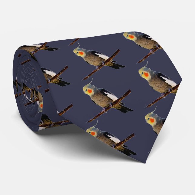 Cockatiel , Nymphicus hcus Tie (Rolled)