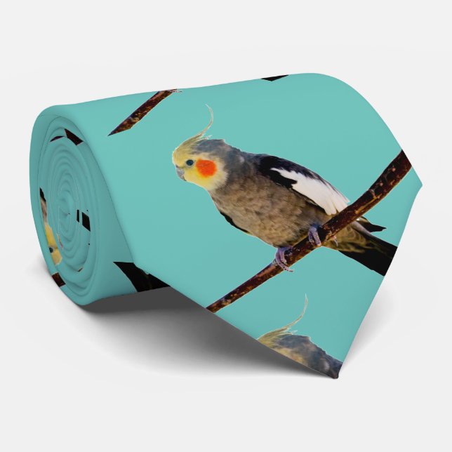Cockatiel , Nymphicus hcus Tie (Rolled)