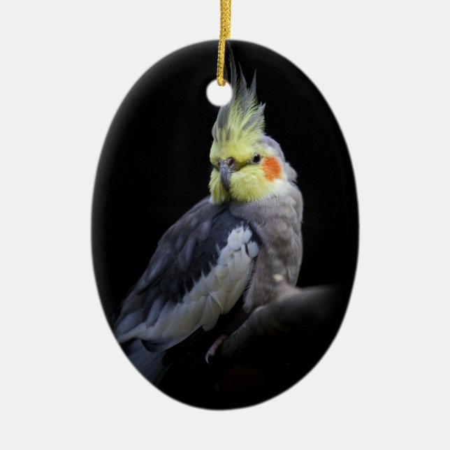 Cockatiel Ornament (Front)