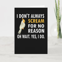 Cockatiel Owner Bird Lover Cockatiel Parrot Lover