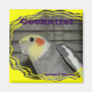Cockatiel Pet Bird MAGNET