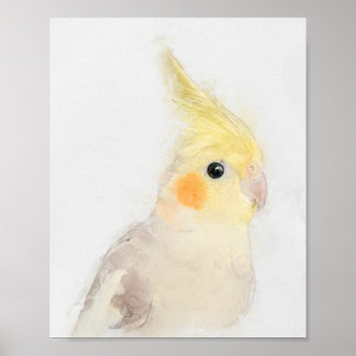 Cockatiel Portrait Poster