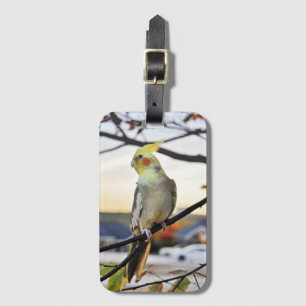 Cockatiel Profile Photograph Luggage Tag