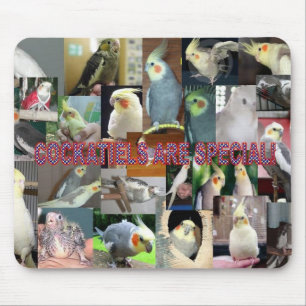 Cockatiels are special mouse pad