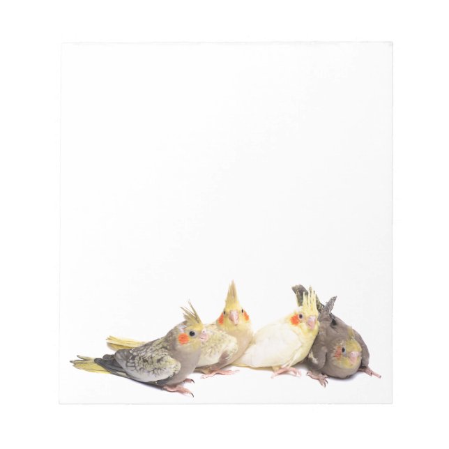 Cockatiels Notepad (Front)