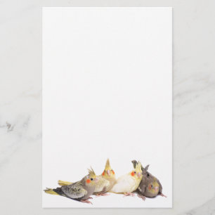 Cockatiels Stationery
