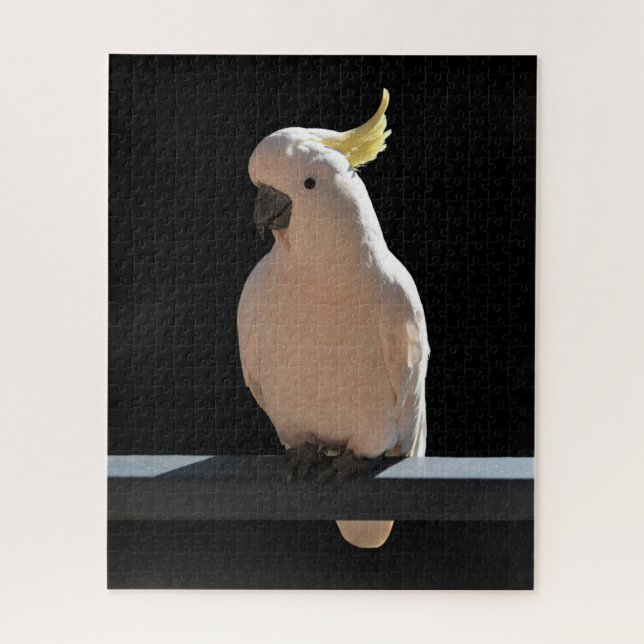 Cockatoo at Sundial Apartments Jigsaw Puzzle (Vertical)