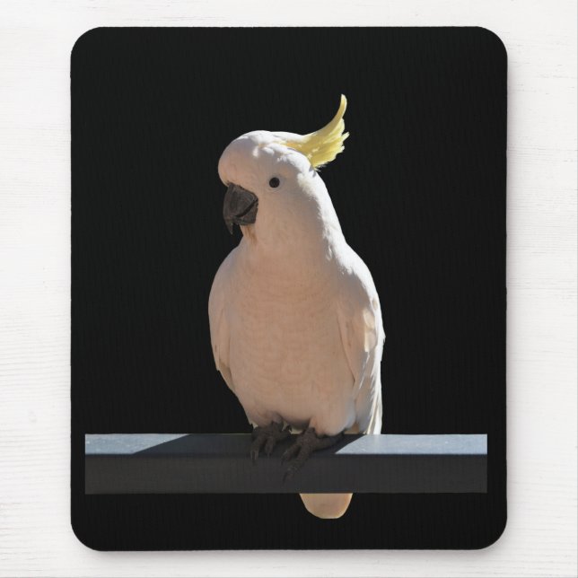 Cockatoo at Sundial Apartments Mousepad (Front)
