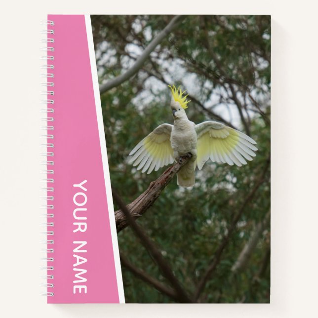 Cockatoo Australia Parrot Bird Wings, Pink Notebook (Front)