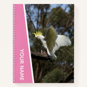 Cockatoo Australia Parrot Bird Wings, Pink Notebook