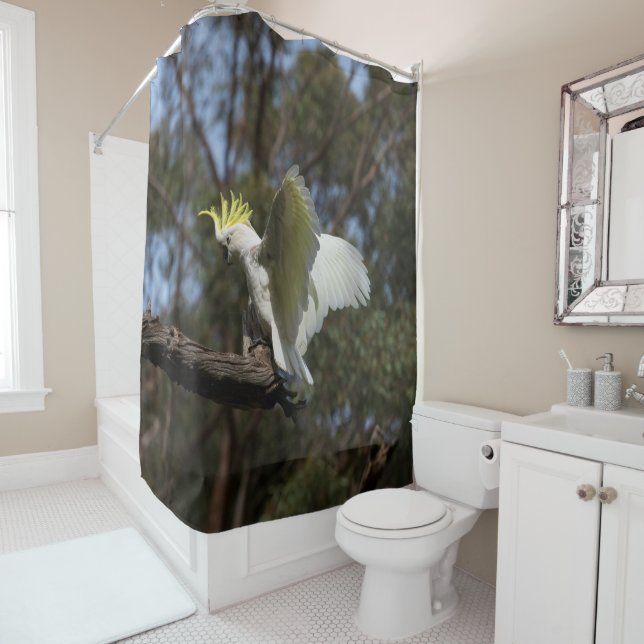 Cockatoo Bird Parrot Spreading Wings Australia Shower Curtain (In Situ)