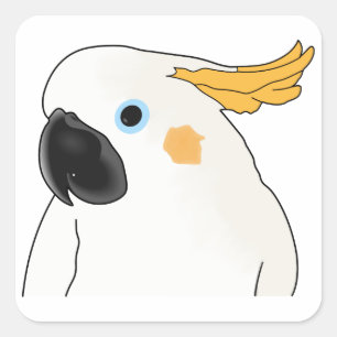 Cockatoo Bust Square Sticker