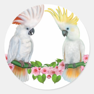 COCKATOO COURTSHIP CLASSIC ROUND STICKER