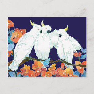 Cockatoo Friends Postcard