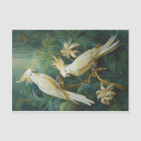 Cockatoo Lovers, White Feathers Elegance