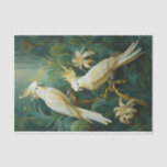 Cockatoo Lovers, White Feathers Elegance Tissue Paper<br><div class="desc">Susan's unique designs paired with your creativity are unstoppable! Have fun,  be creative and please send me a photo. I am happy to promote. SusanFineArt39@gmail.com Thank you for your support.</div>