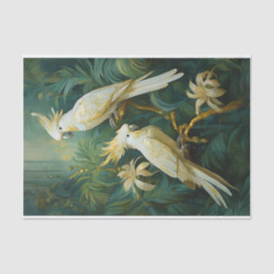Cockatoo Lovers, White Feathers Elegance Tissue Paper