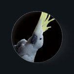 Cockatoo Parrot 6 Cm Round Badge<br><div class="desc">Photo of a beautiful Sulphur Crested Cockatoo parrot showing off his yellow crest.</div>