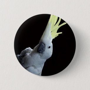 Cockatoo Parrot 6 Cm Round Badge