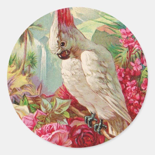 Cockatoo & Roses Vintage Art Classic Round Sticker (Front)