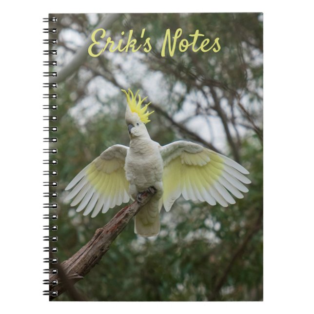 Cockatoo Spreading Wings Bird Australia Notebook (Front)