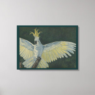 Cockatoo Stretched Canvas Print