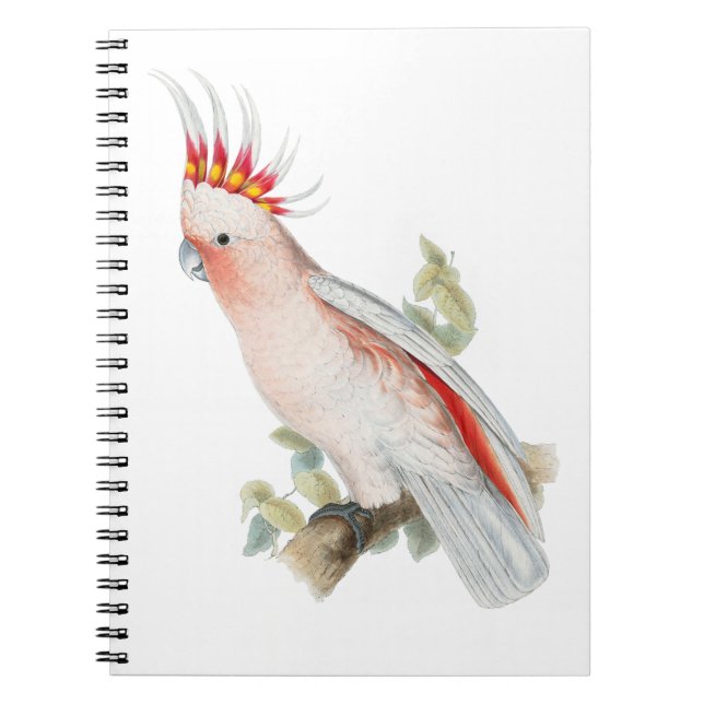 Cockatoo Vintage Art Notebook (Front)