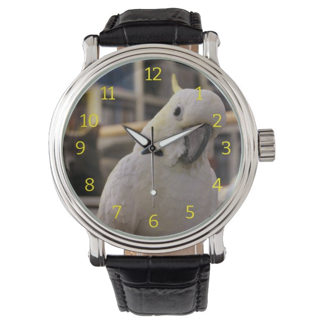 Cockatoo Watch (Front)