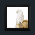 Cockatoo white parrot bird beautiful photo, gift gift box<br><div class="desc">Beautiful photo of a white cockatoo parrot bird trinket box,   gift box,  jewellery box.  great gift idea</div>
