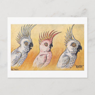 Cockatoos, Louis Wain,  Postcard