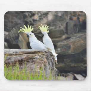 Cockatoos Mouse Pad