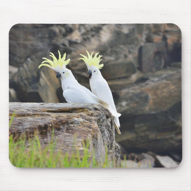 Cockatoos Mouse Pad (Front)
