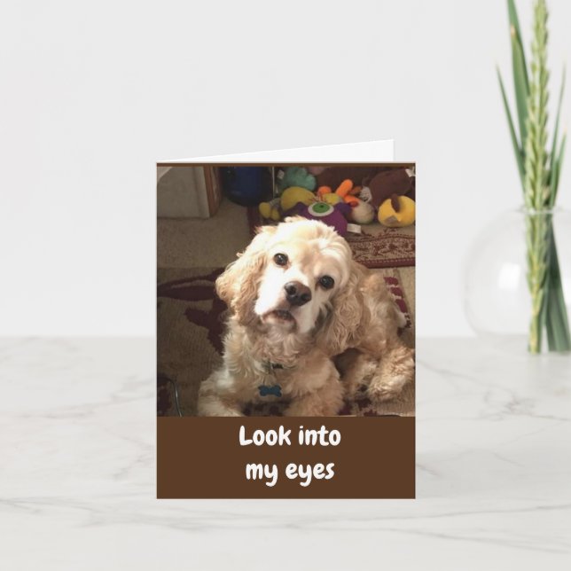 COCKER SAYS *HAPPY BIRTHDAY* CARD (Front)