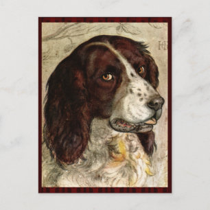 Cocker Spanial Dog Print Postcard