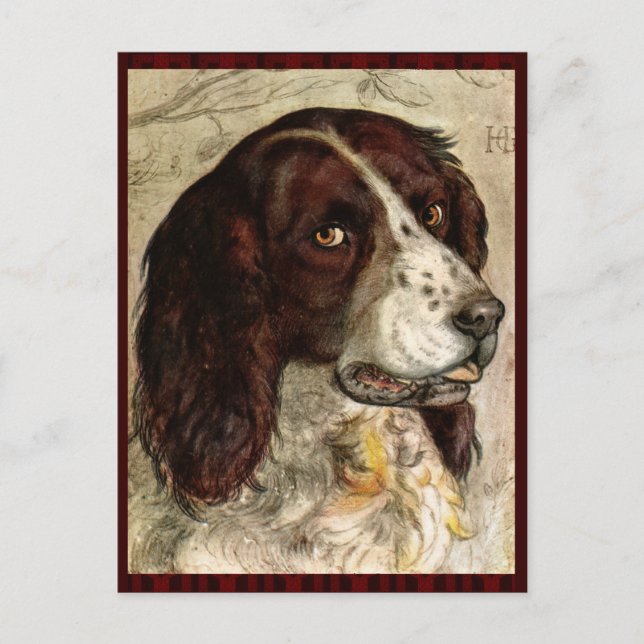 Cocker Spanial Dog Print Postcard (Front)