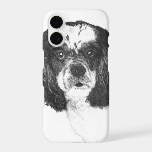 Cocker Spaniel