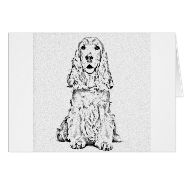 Cocker spaniel (Front Horizontal)
