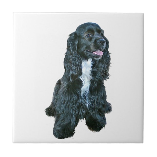 Cocker Spaniel - Black #2 Tile (Front)