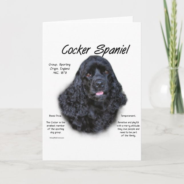 Cocker Spaniel (black) History Design Holiday Card (Front)