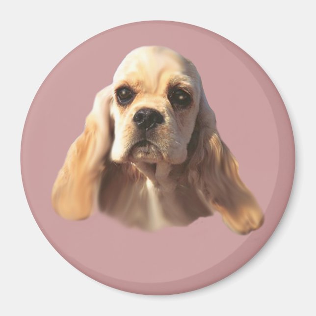 Cocker Spaniel Blondie Magnet (Front)