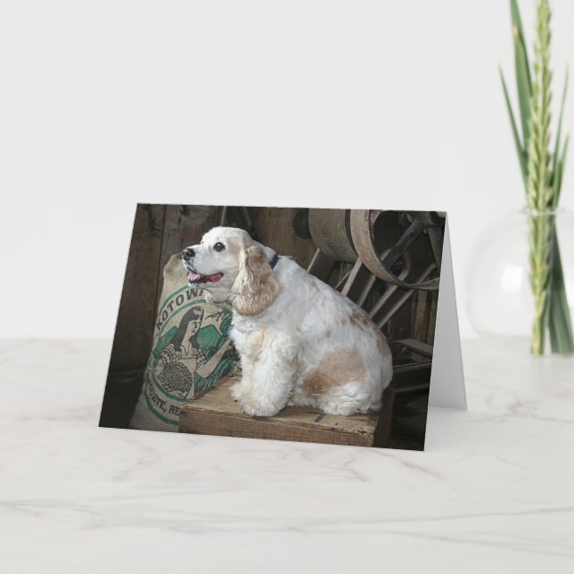 Cocker Spaniel Card (Front)