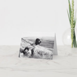 Cocker Spaniel Card