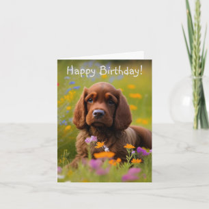Cocker Spaniel Card