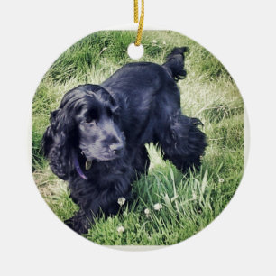 Cocker Spaniel Ceramic Tree Decoration