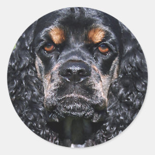 Cocker Spaniel Classic Round Sticker