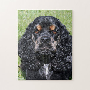 Cocker Spaniel Close-Up Jigsaw Puzzle