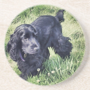 Cocker Spaniel Coaster