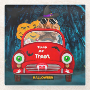 Cocker Spaniel Dog Driving Car Scary Halloween Glass Coaster