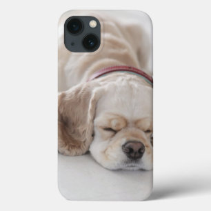 Cocker spaniel dog sleeping iPhone 13 case